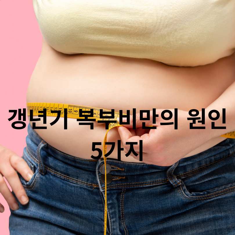 갱년기 여성 복부비만 원인과 해결책