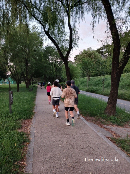 공원 산책로에서 여러 명이 모여 슬로우 조깅을 하는 모습