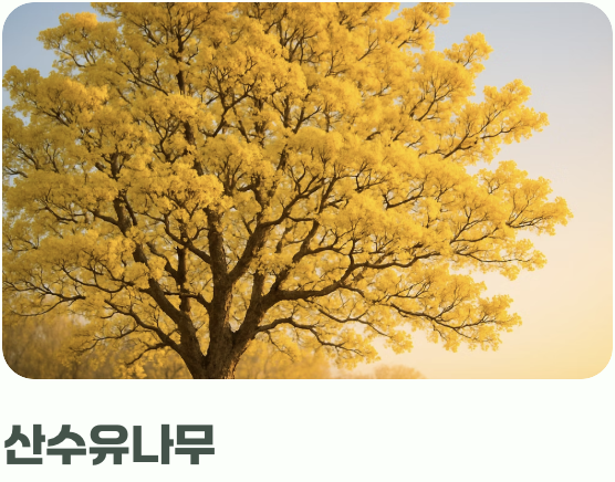 초보 텃밭러를 위한 더 나은 대안