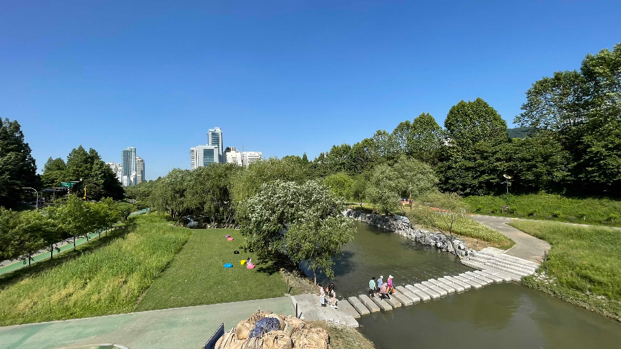 양재천 나들이 진행