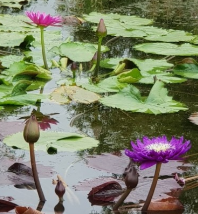 태안 청산수목원 여행지
