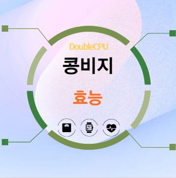 콩비지 효능 탐구