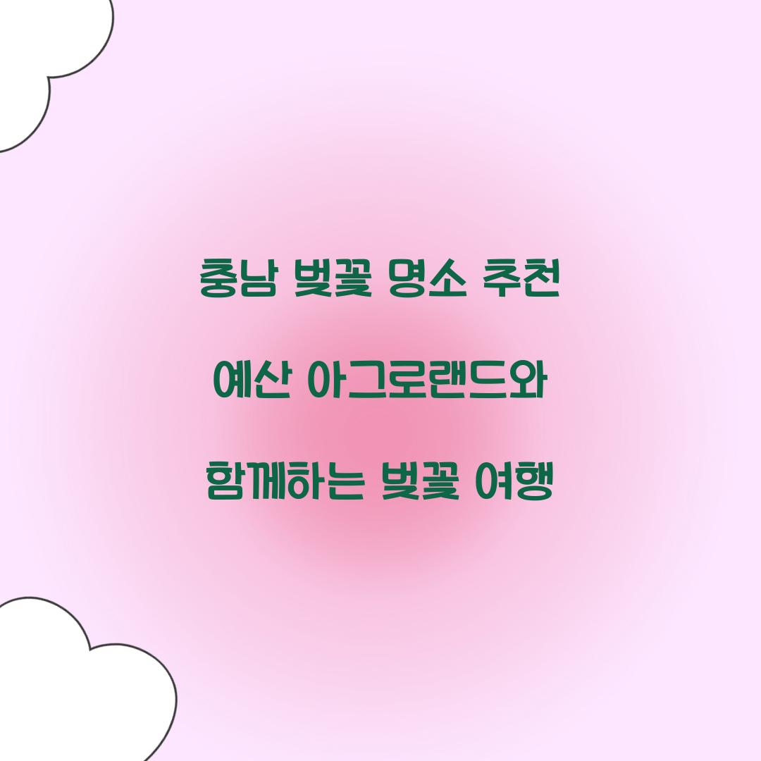 충남 벚꽃 명소