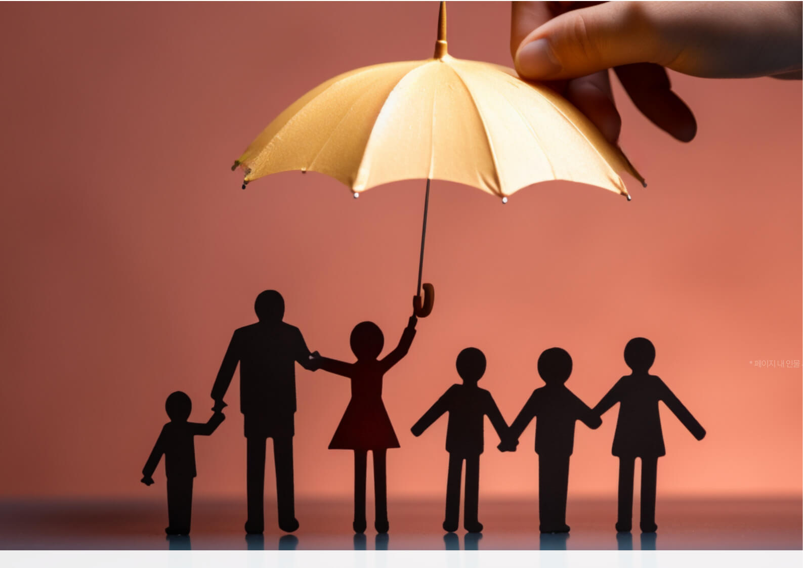 생명보험과 실손보험, 무엇이 다를까?