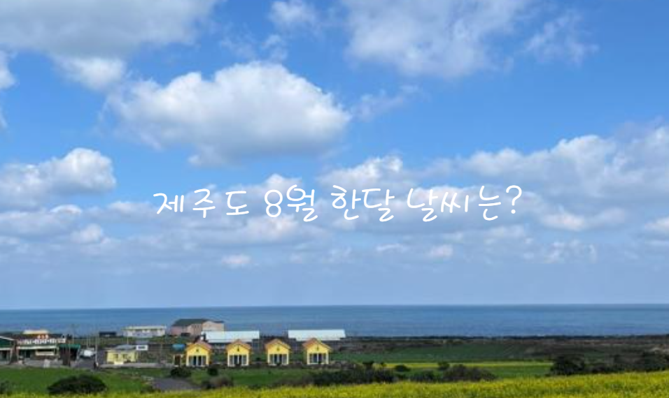 제주도 8월 한달 날씨 특징