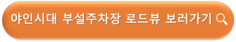 야인시대 부설주차장 입구 로드뷰