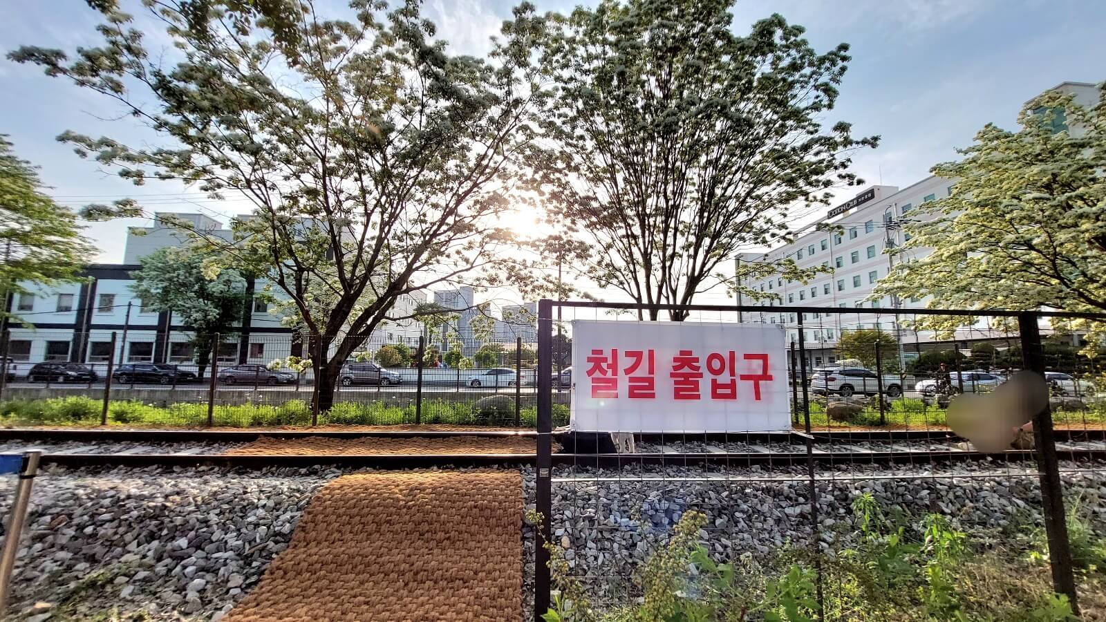 이팝나무 출입구