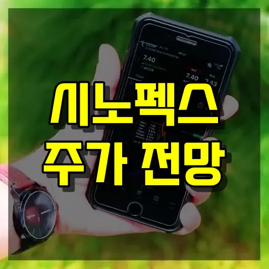 시노펙스 주가 전망