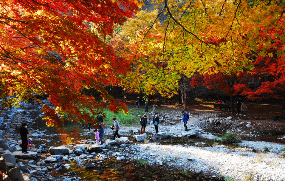 순창 강천산
