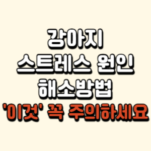 강아지-스트레스
강아지-스트레스-해소
강아지-스트레스-증상
강아지-스트레스-행동