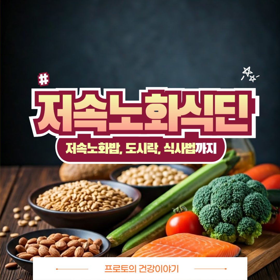 저속노화식단 완벽정리! 저속노화밥과 도시락 식사법까지