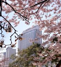 속초 봄 바다문화축제