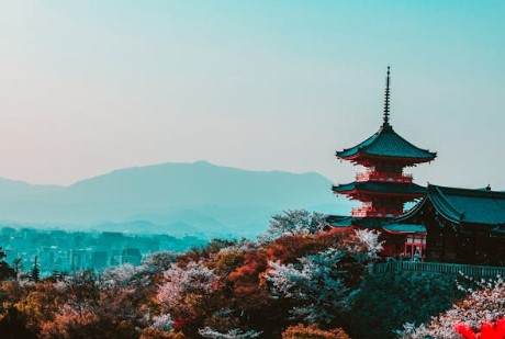 일본 미성년자 여행 비행기 탑승 숙소 이용 시 유의사항