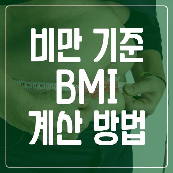 비만 기준 BMI 계산 방법