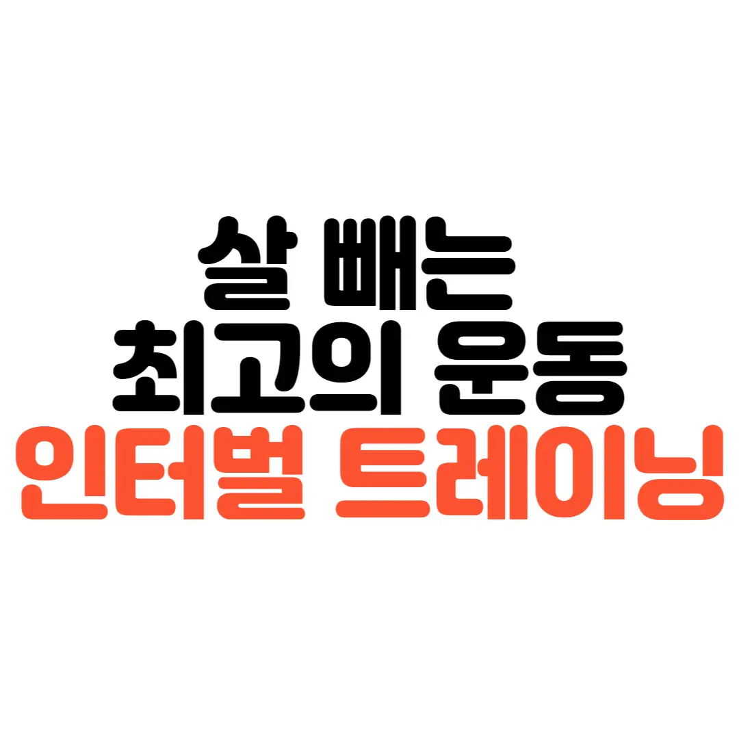 고강도운동
