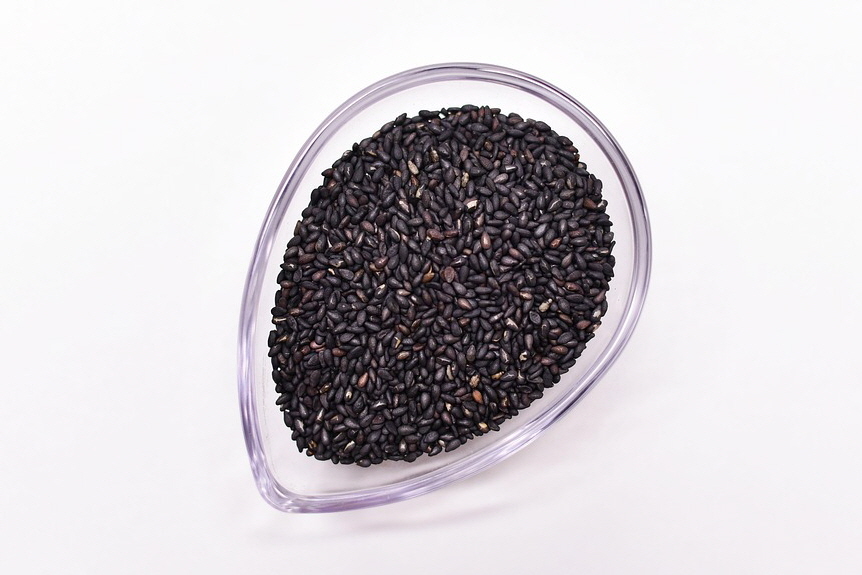 서로 다른 영양 성분을 가진 참깨와 검은깨