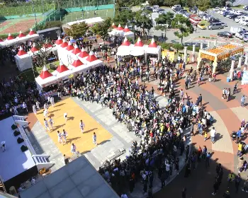 청도 반시축제_31