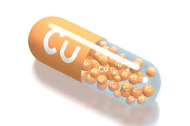 비타민과 미네랄의 중요성