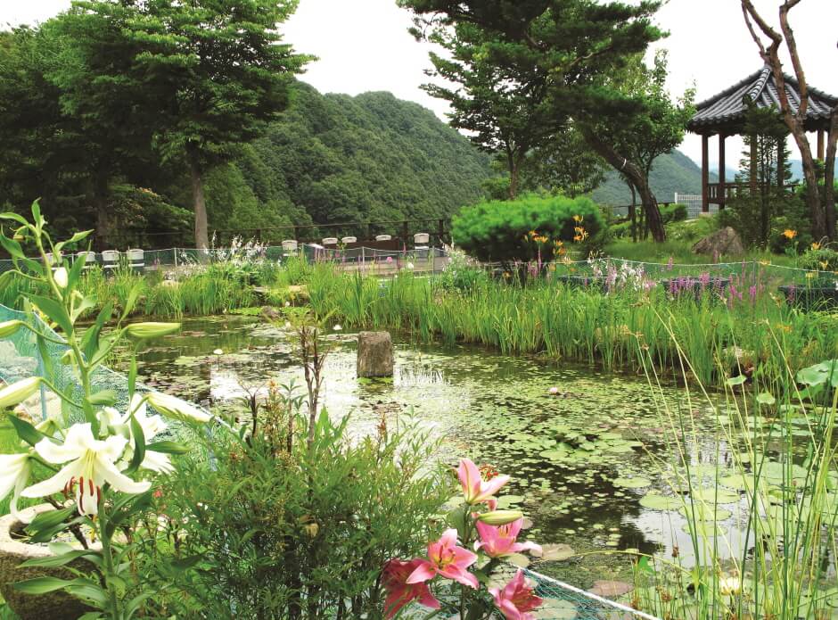 수생식물학습원