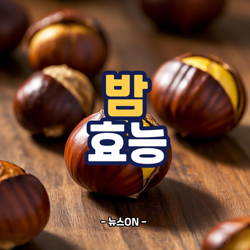 밤 효능