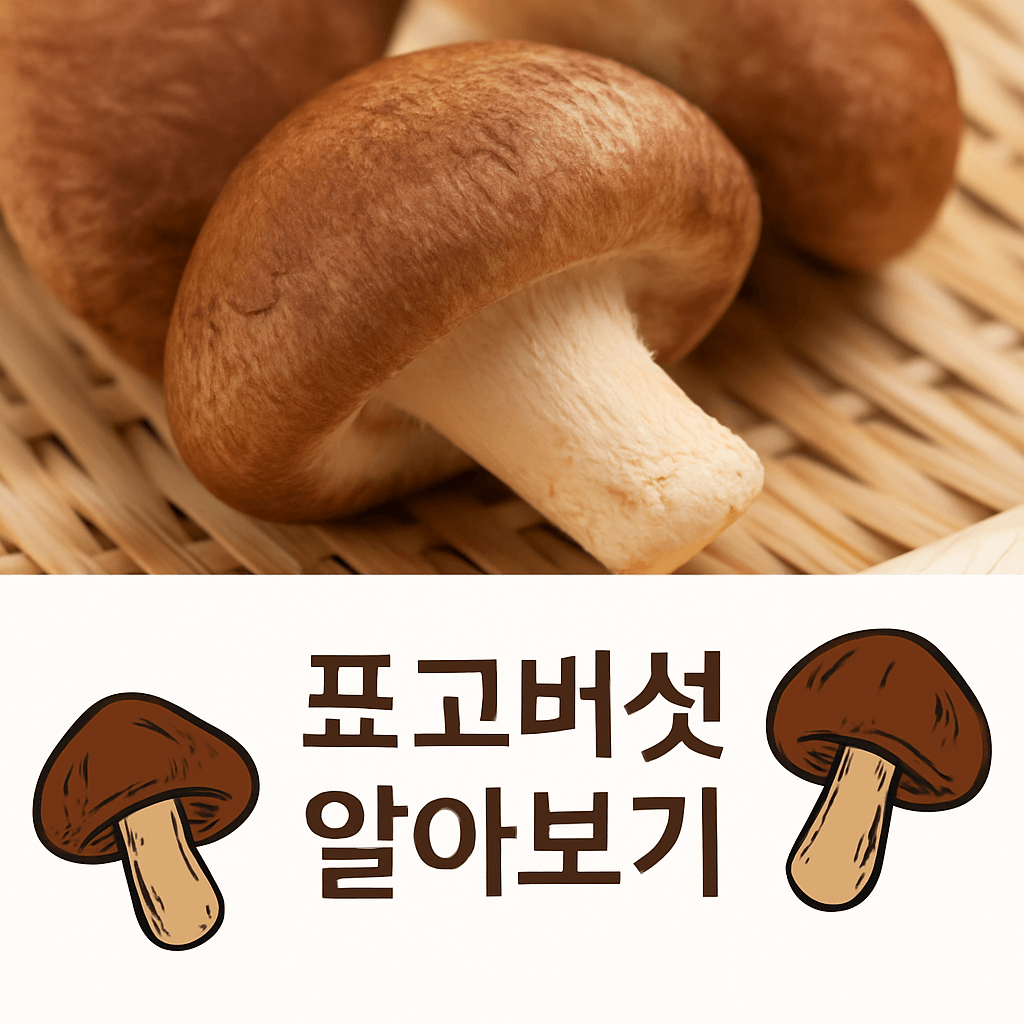 표고버섯