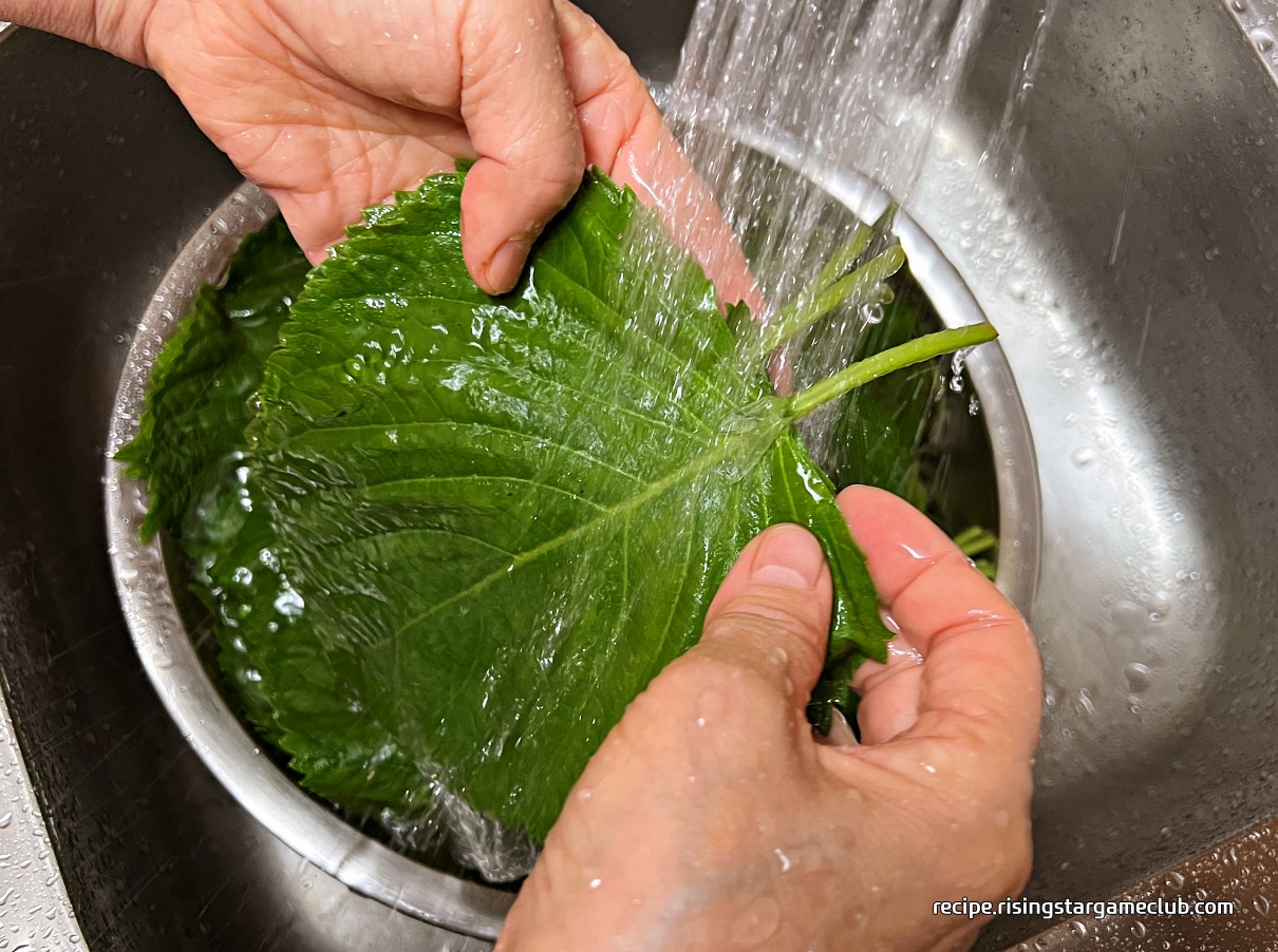 깻잎의 앞면을 흐르는 물에 세척하는 사진