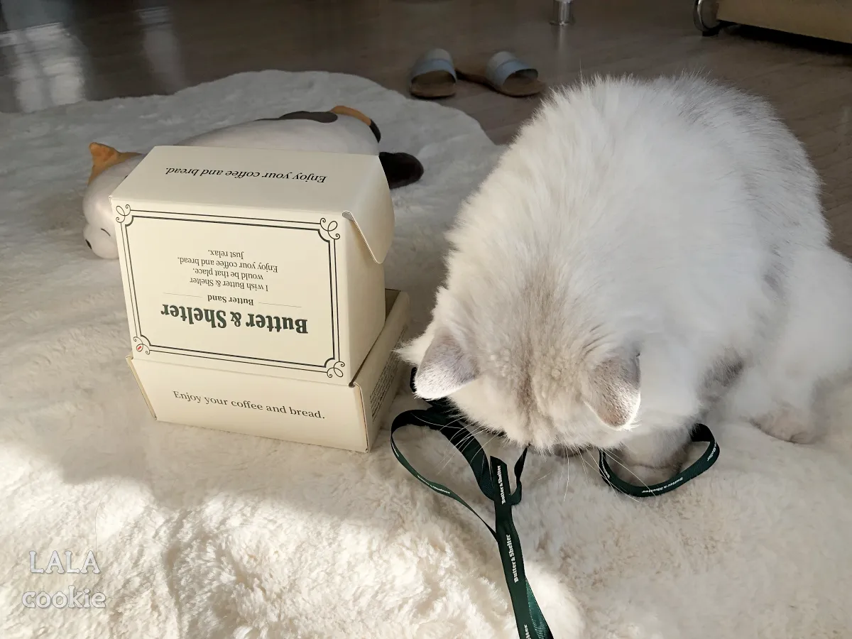 버터앤쉘터-포장-끈이-좋은-고양이