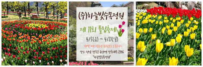 장흥 하늘빛수목원 튤립 축제 포토&#44; 포스터