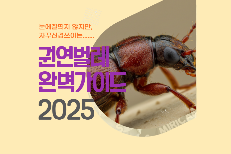 권연벌레 완벽 가이드