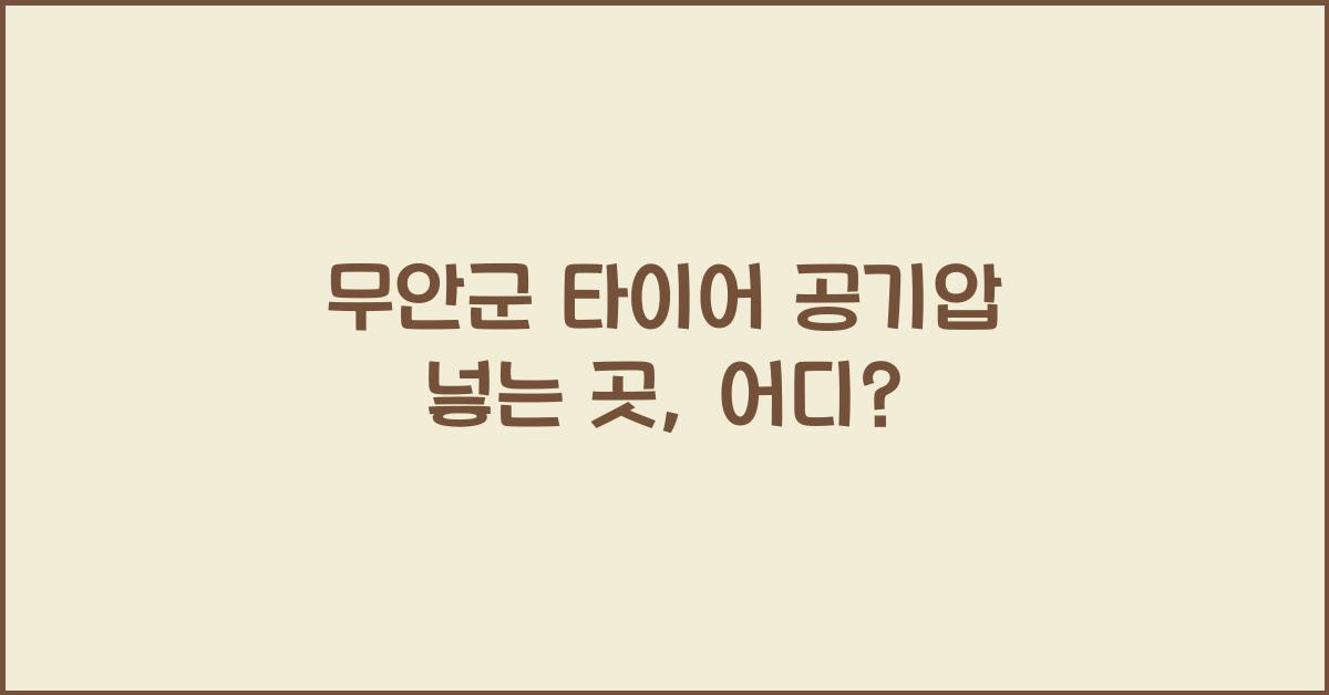 무안군 타이어 공기압 넣는 곳 