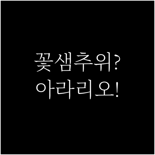 꽃샘추위 걱정 없는 실내 데이트 코스..