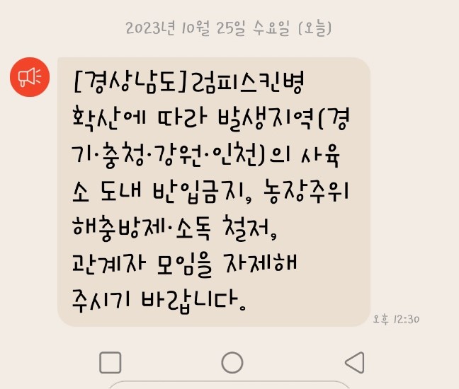 럼피스킨병 문자