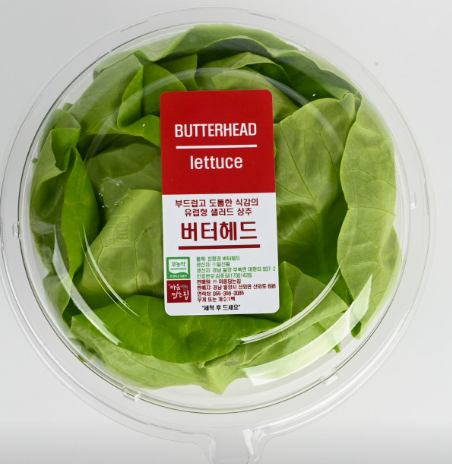 일신팜 버터헤드