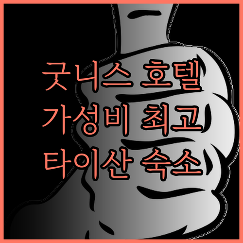굿니스 플라자 호텔 후기 가성비 최고