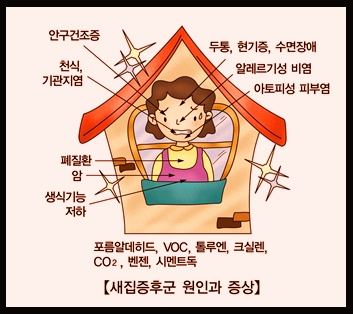 새집 증후군 없애는 방법 새집증후군 원인과 증상