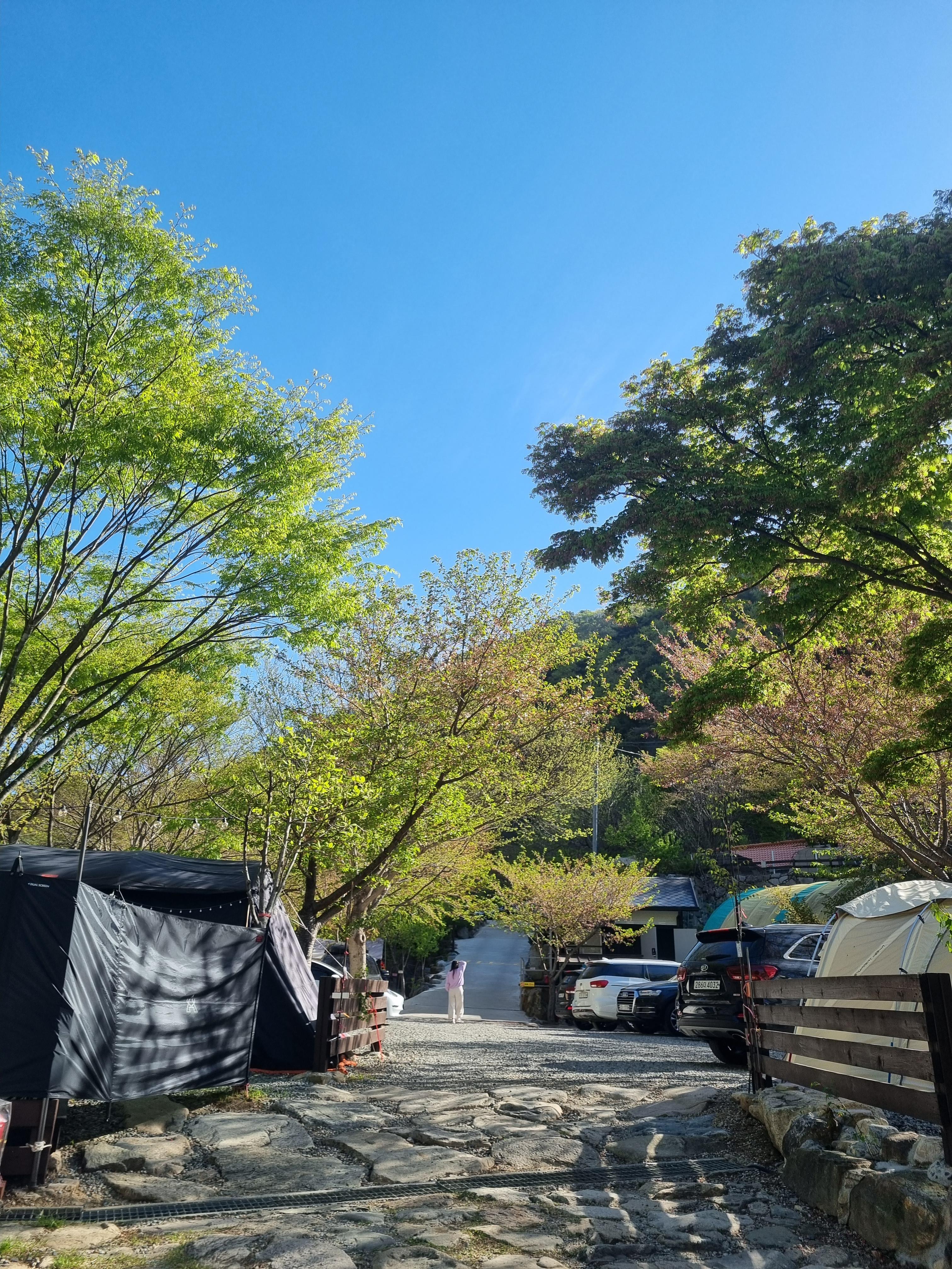 양산 무릉도원 오토캠핑장