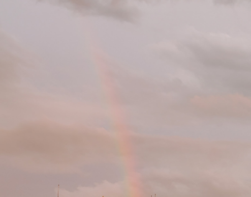 Alt 속성 문제 해결 설명 이미지