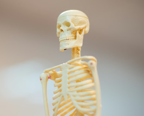 골다공증에 좋은 음식 영양제 식단