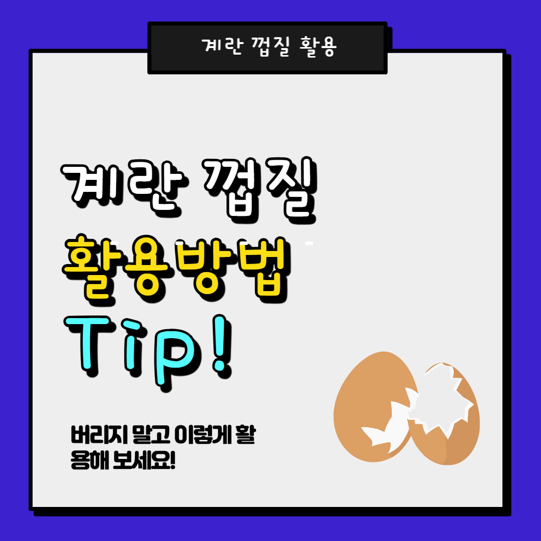 계란껍질 활용방법