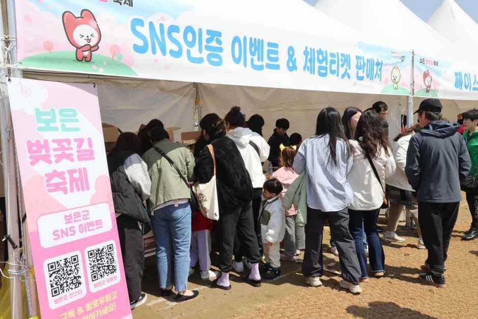 보은 벚꽃길 축제 2026 완벽 가이드