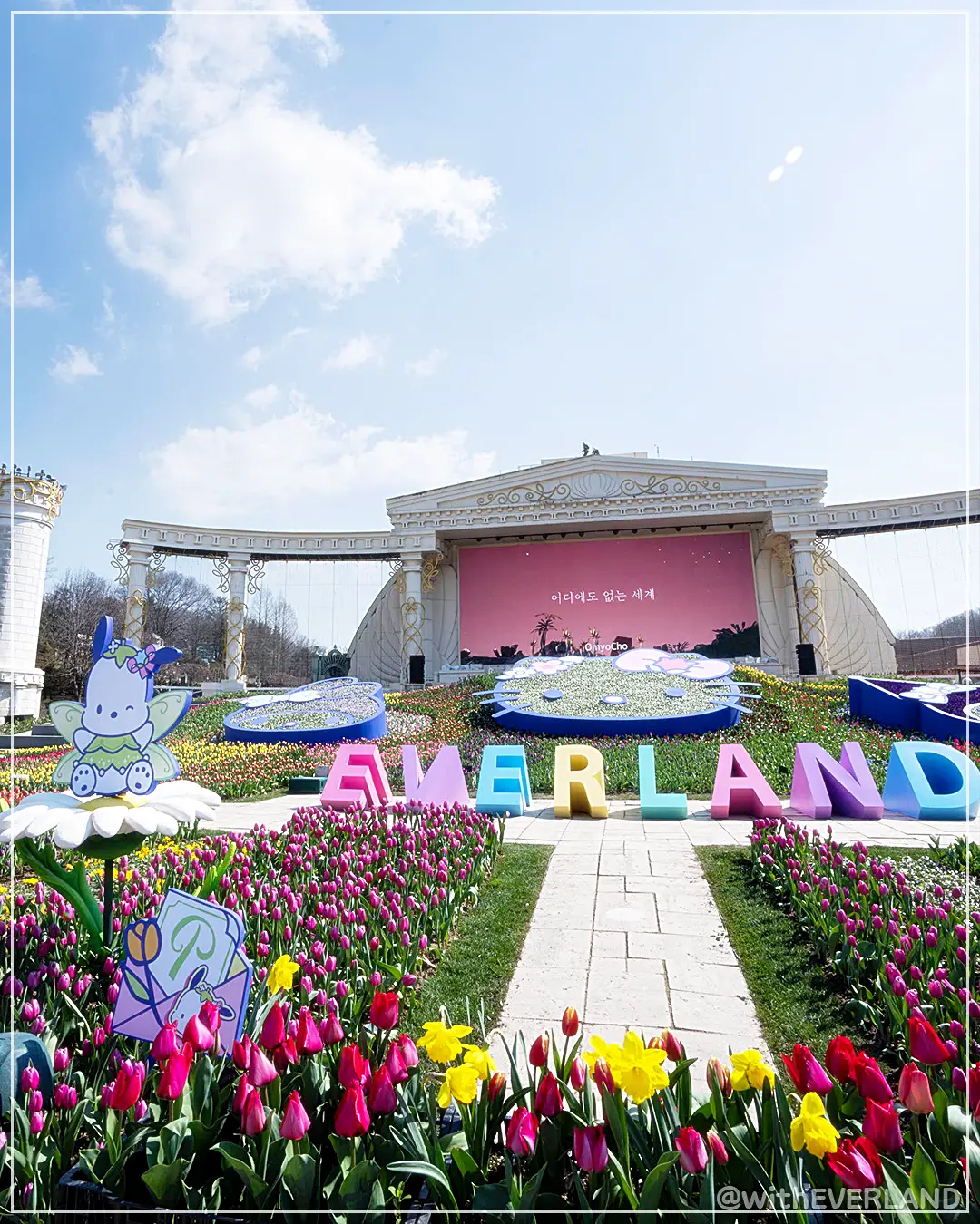 용인 에버랜드 튤립축제 산리오