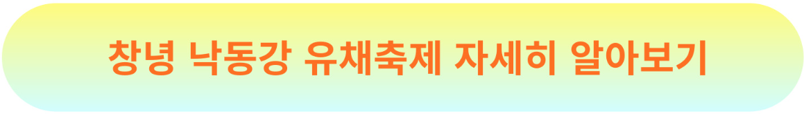 버튼