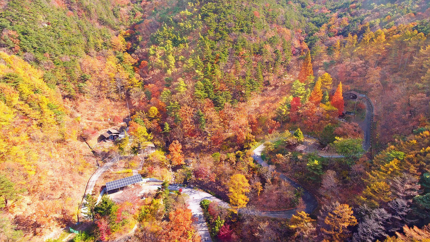 충북 보은 속리산 말티재 전망대 자연휴양림 주변 맛집 카페 마트 전통시장 오일장 특산물 시세 강아지 동반 식당 카페 숙소 호텔 정보