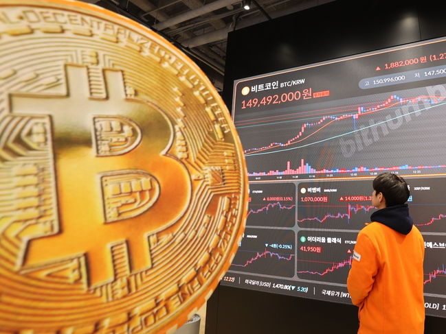 팬들코인 관련사진