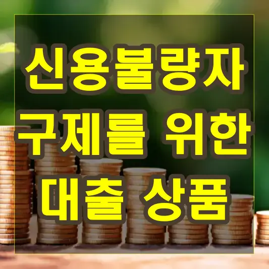 신용불량자 구제를 위한 대출 상품 소개