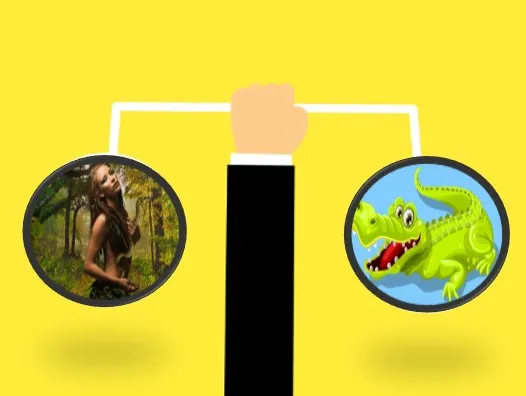 뱀과 악어 이미지