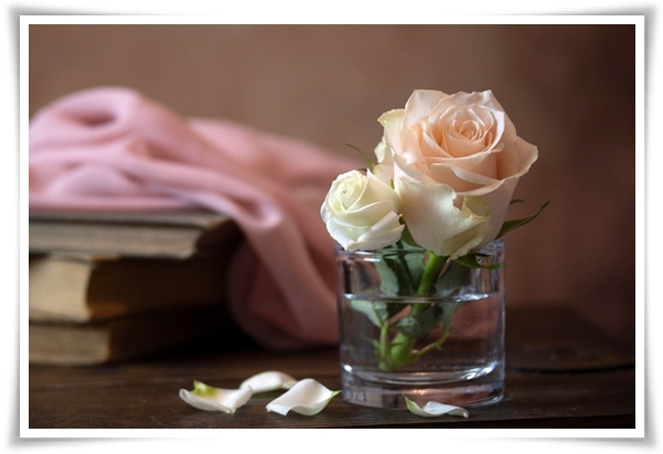 화초 &quot;리시안셔스&quot; 장미인 듯 장미 아닌 변치 않는 사랑의 꽃!