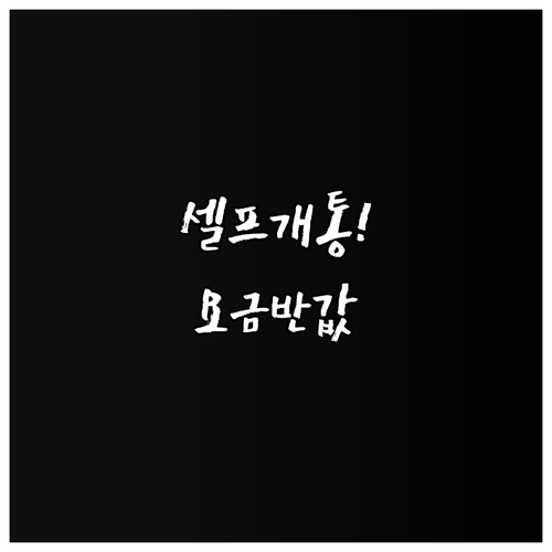 휴대폰 요금 부담 줄이기, 알뜰폰 셀..