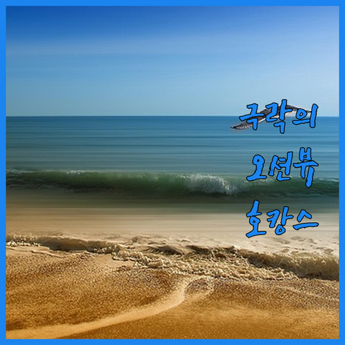 주이스트 & 노르데나이 최고의 호텔!..