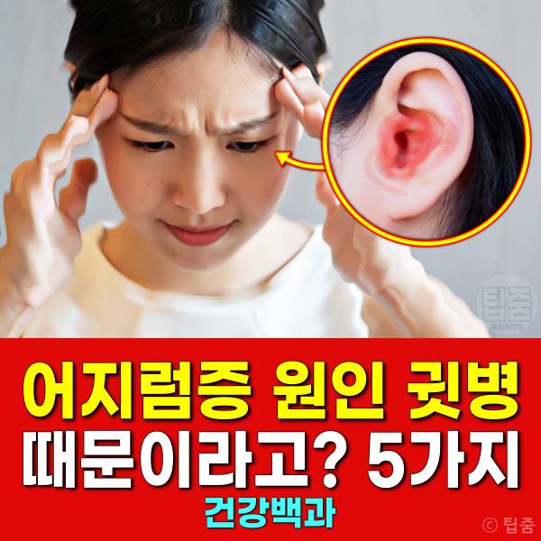 어지럼증 원인 귓병 어지러움 원인 이석증 메니에르병 전정신경염 내이염 중이염